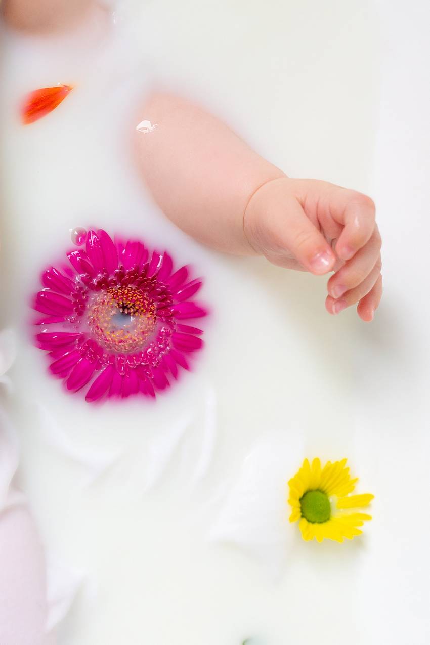photographe nancy shooting fleur lait